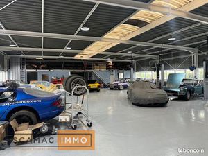 Local d'activité 999 m²