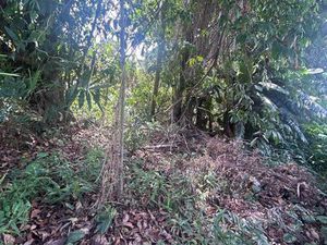 Terrain route des plages
