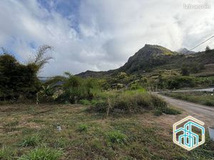 Terrain 1000 m² SALAZIE (Mare-à-Vieille Place)