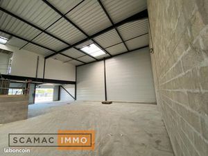Local d'activité 962 m²