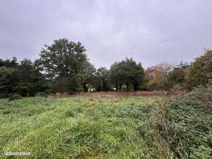 Terrain 1 160 m² Plelan Le Petit