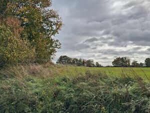 Joli terrain constructible sur 14000m2