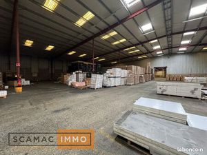 Local industriel 3 000 m²