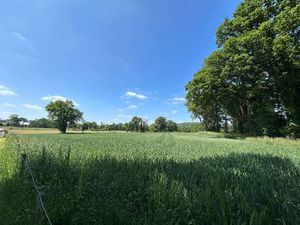 Terrain constructible viabilisé à vendre