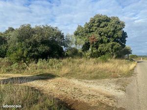 Urgent terrain de garrigue non constructible