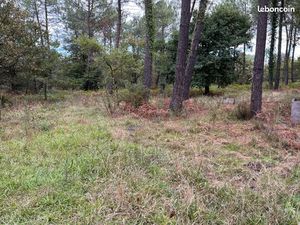 La teste terrain non constructible 4800