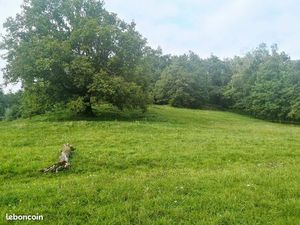 Terrain viabilisé 42 ares – au calme  proche Luxembourg ?