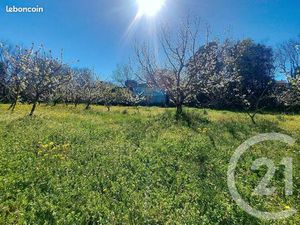 Terrain 1 027 m² Ceret