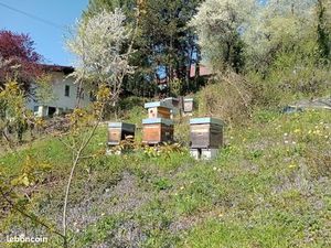 Terrain constructible 1246m² Côte d'Hyot