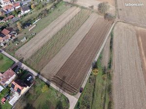 Terrain 1667 m² Brumath