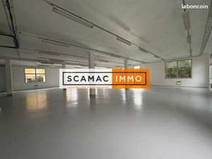 Local d'activité 293 m²