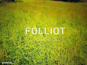 Terrain 520 m² LINGREVILLE