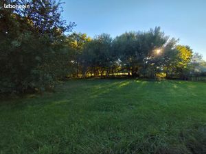 Terrain constructible