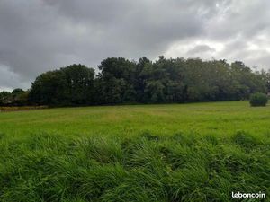 Terrain 1 400 m² Sadirac