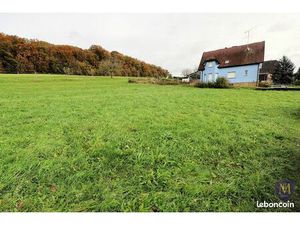 Terrain 891 m² Steinsoultz