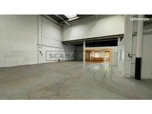 Local d'activité 1 177 m²