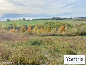 Terrain 1345 m² Montastruc-la-Conseillère