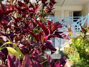 Appartement de type F4 sur le Tampon