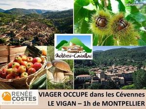 Maison en Viager 7 pièces 300 m²