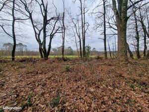 Terrain 4597 m² Saint-Geours-de-Maremne