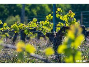 Terrain 400 m² Artigues Pres Bordeaux