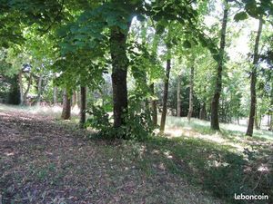 1030m2 construct saintes prix interessant