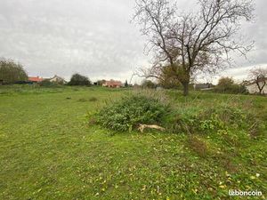 Terrain 3 629 m² Saint Leger Des Vignes