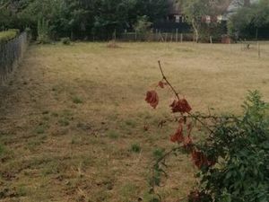 Terrain constructible