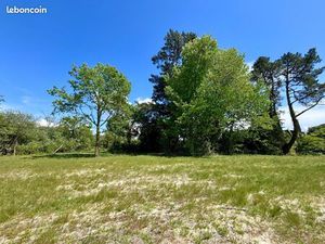 Terrain 1 242 m² Biscarrosse