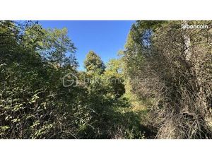 Terrain agricole 4 130 m² Sigoules