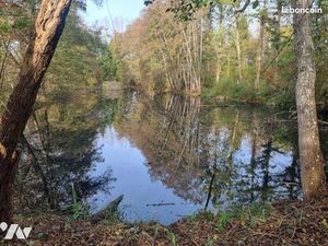 Local Divers 6670 m² COURTEMAUX