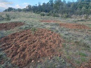 Terrain chêne truffier