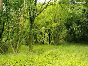 Terrain agricole non constructble