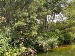 Terrain de loisirs (pêche)