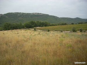 Terrain agricole ou de loisir à Saint André de Buéges