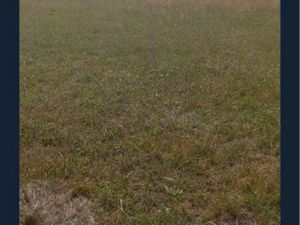 Terrain – 2 parcelles – 3 600 m²