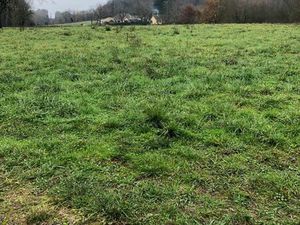 Terrains constructibles