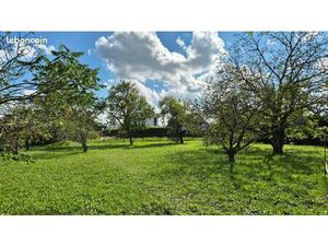 Terrain 1 200 m² Wittenheim
