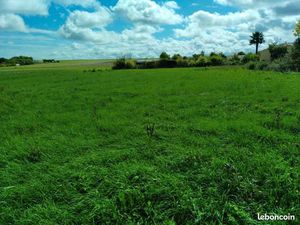 Terrain constructible