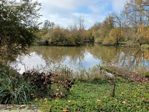 Etang de 5000 m2 avec grand terrain