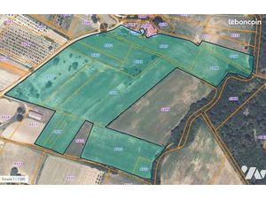 Terrain 67312 m² NANS LES PINS