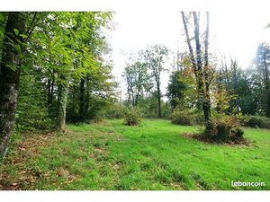 Terrain 3200 m² Plazac