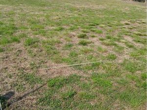 Beau terrain constructible viabilisé à Bias