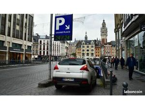 Investissement Rare : Parking Loué à Lille avec Haut Rendement