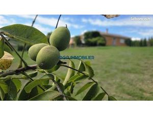 Maison 3 pièces 124 m²