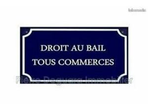 Plein centre Emplacement Prémium Local commercial Tout commerce ou activité