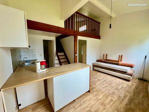 Appartement 1 pièces et mezzanine