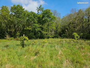 Terrain 3ha (agricole et zone boisée classée)