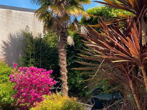 Charmant local à louer - Plein centre de Châteauneuf-du-Faou