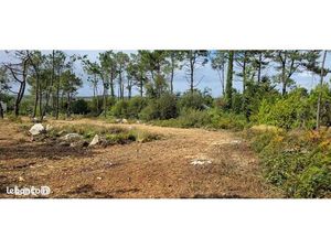 Lot D - Terrains viabilisés - Bois du Kador - Crozon Morgat